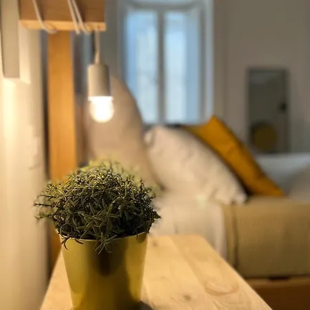 Palazzo Naso 4* טרופאה