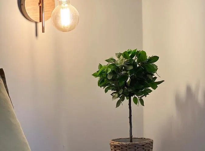 Palazzo Naso Bed & Breakfast